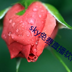 sky免(免)费直播(播)软件