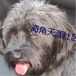 海角天涯(yá)社区入口(kǒu)