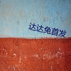 达达兔首(shǒu)发