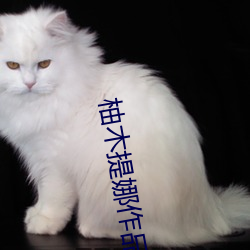 vwinӮ(й) - ٷվ