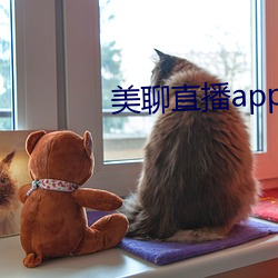 美聊直播app