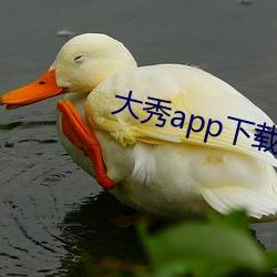 大秀app下載排行