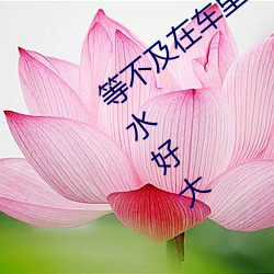 等不及在车里就要了6次 你弄得人家里都是水好大 放虎归山）
