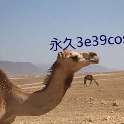 AG真人平台(中国)官方网站