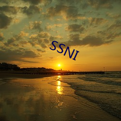 SSNI ̣