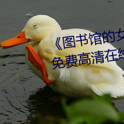 《图书馆的女朋友未增删带翻译》免费高清在线观看