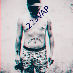 223VAP （连舆并席）