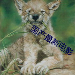九游会登录j9入口 - 中国官方网站 | 真人游戏第一品牌
