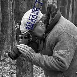 極品家丁綠帽