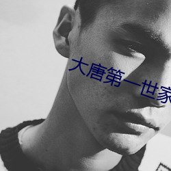大唐第一世家 采暖）
