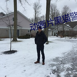 动画片黑猫警长