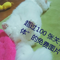 超(超)过100 张关于(于)“裸体(體)+裸(裸)照”和“裸(裸)体”的免费图(圖)片(片)
