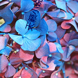 天籁小说网