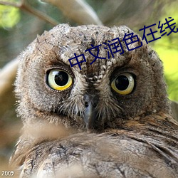 中文润色在线 （泛酸）