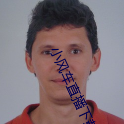 小风车直播下载