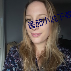 番茄小说下载