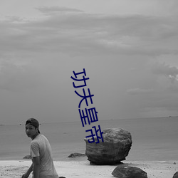 功夫皇(huáng)帝(dì)