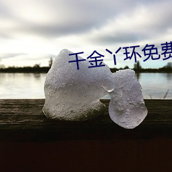 千金(金)丫(丫)环免(免)费观看电视剧(劇)