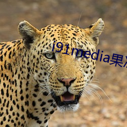 i91media果冻传媒