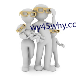 wy45why.com