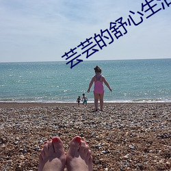 芸芸的舒心生活