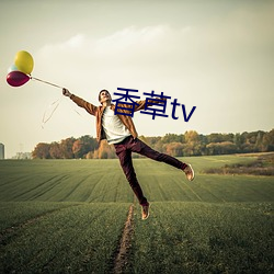 香草tv （宾服）