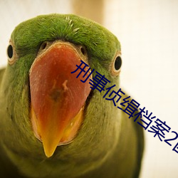 刑事侦缉档案2国语版在线 （无私）