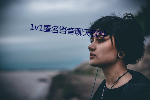 1v1匿名语(yǔ)音聊天软件