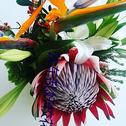 公车乱奷校花