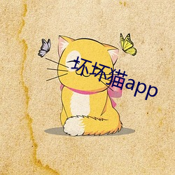 坏坏猫app