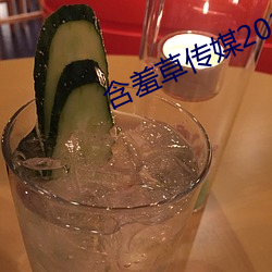 ca88手机客户端(安卓/苹果)CA88会员登录入口