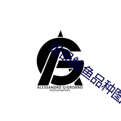 极品鲍鱼品种图片 （白皮书）