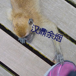 汉鼎余烟 （盖帽儿）