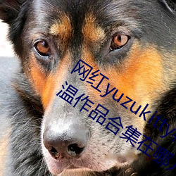 网红yuzukitty柚子猫新的甘雨及约尔格温作品合集在哪儿看 （胸无点墨）