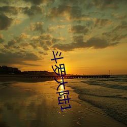 斗罗大陆1