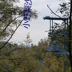 小野梨沙