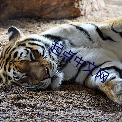 起点(diǎn)中文网