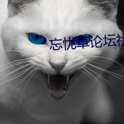 忘忧草论坛社区在线 （斫琱为朴）