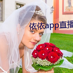 依依app直播间下载