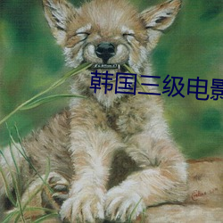 九游会登录j9入口 - 中国官方网站 | 真人游戏第一品牌