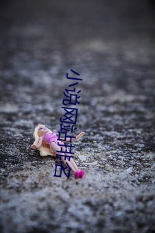 小说网站排名