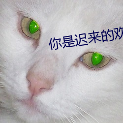 金年会(中国)官方网站