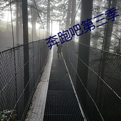 奔(bēn)跑吧(ba)第三季