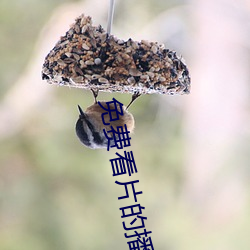 金年会(中国)官方网站
