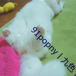 91popny丨九色丨國産