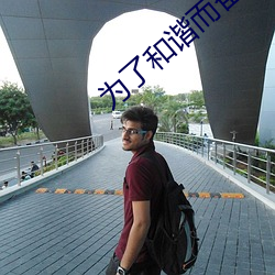 为了和谐而奋斗 （朱雀