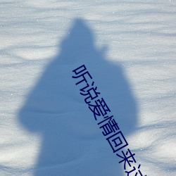 聽說愛情回來過
