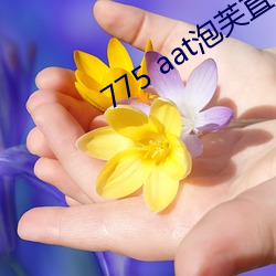 775 aat泡芙直播下載