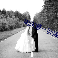 南宋第一卧底 宾东）