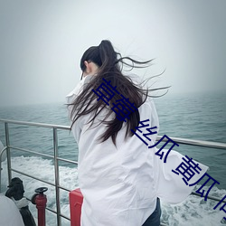 草莓(莓) 丝(絲)瓜 黄(黃)瓜 向日葵(葵) 榴(榴)莲